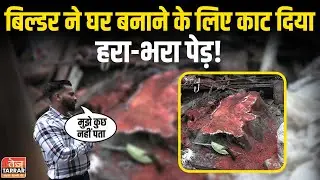 दिल्ली के विकासपुरी में बिल्डर ने घर बनाने के लिए काट दिया हरा-भरा पेड़! | Illegal Tree Cutting