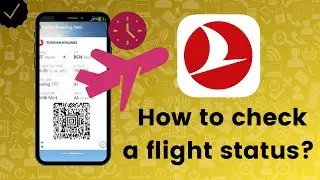 How to check a flight status in Turkish Airlines?