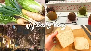 【vlog】家庭菜園でミニ白菜の収穫/イルミネーション/ルピシア福袋開封/初めての食パン作り