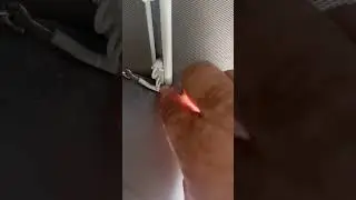 Vanlife Curtain Track Idea