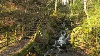 Small Waterfall 1080p RAW