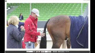 Vision of the Horse Magazine