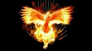 DIRECTO Radio Infinity Online-DJRISEN