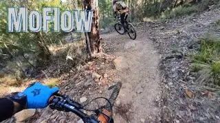Mogo Trails, MoFlow, A nice little starter