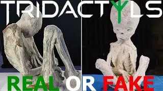 Rewriting HIstory WTG: Discussing The Alien Tridactyl Mummies Of Nazca Peru W. Gonzalo Chavez