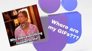 I'm unable to view GIFs on Microsoft Teams - Easy steps to enable them