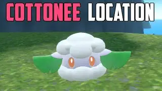 How to Catch Cottonee - Pok&eacute;mon Scarlet & Violet (DLC)