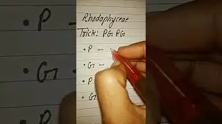 Rhodophyceae ||