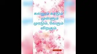 comment your answer? @vidukadai @riddles @Tamil @Shorts @6flowers @answer @ans @questions @quiz