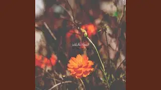 Wala Na (feat. Clien, Jom & Mayo) (Remix)