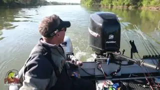 Trolling for Delta Stripers with Bob Sparre & Al Pham Delta Striped Bass Part 1 of 2