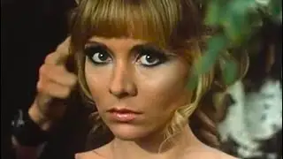 The Night Shadows - So Much