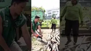 large wood cutting skills technique , firewood processing project #shortvideo #treecutting