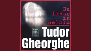 CELULA/BLESTEMUL AIUDULUI/DA-MI DRUMUL