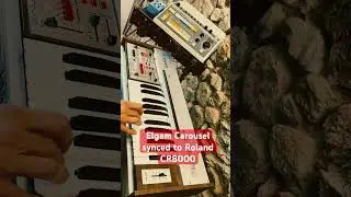 Elgam Carousel & Roland CR8000