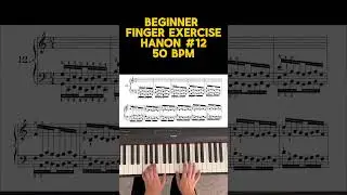 Hanon No. 12 | Piano Finger Exercise | 50 BPM | Practice With Me