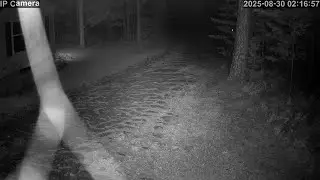 20250830 021553 Fox front yard driveway backyard combined