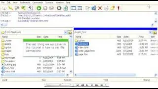 How to manage CuteFTP settings