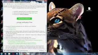 How to get a free HTTPS and free domain