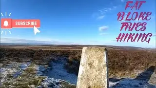 ox stones