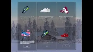 Create Responsive product page HTML CSS | Responsive product