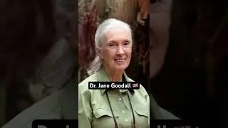 Dr. Jane Goodall 🇬🇧 The UN Messenger of Peace & Environmental Activist