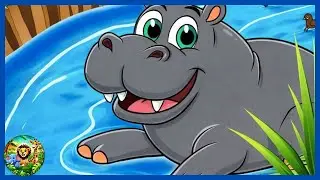 COLOR SAFARI - The Hippo sees BLUE