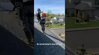 Roof & Gutter Cleaning + Landscape Cleanup | Seattle | Portland | Vancouver, WA