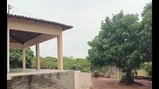 Terapia no quintal; as plantas e os animais curam.