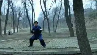 太极拳秘境 第八集 牵动四两拨千斤 太极拳推手 B