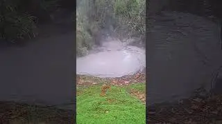 mud pool...NZ
