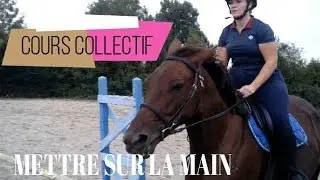 [ COURS COLLECTIF ] ◇ mettre un cheval sur la main