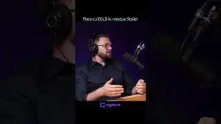 Plata cu EGLD &icirc;n rețeaua Stailer ✨