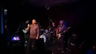 The Pinnies - Love Grove