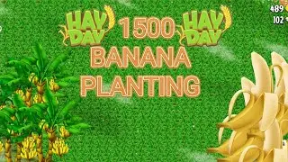 Hay Day 1500+Banana tree  Planting and  game play level 91