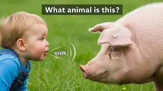 Animal Guess Game 🎮 Learn English with Fun