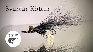 Svartur K&ouml;ttur fluguhn&yacute;tingar myndband | Flugusmi&eth;jan