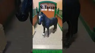 Meine Top 10 Lieblings Schleich Pferde| Stand Februar 2025
