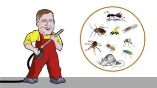 Big Tom's Pest Control Animation