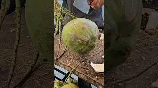 Fantastic fresh coconut cutting skills #viral #shorts #streetfood #cuttingskills