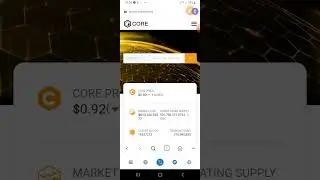 HOW TO ADD CORE NETWORK TO METAMASK