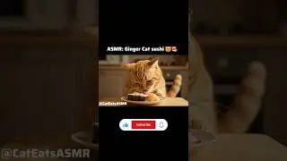 ASMR: Ginger Cat eats sushi 😻🍣 #asmr #cat #food #viral #animals