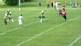 Penner 45 yard TD reception from Nikkel