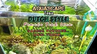 AQUASCAPE DUTCH STYLE...#aquascape #dutchstyle #aquascapepemula#aquascapelowbudget#seputaryoutube