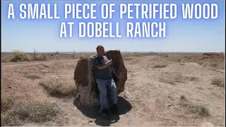 Страна чудес окаменелого леса на ранчо DoBell