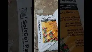 Got too much Thatch? This is how you fix it forever