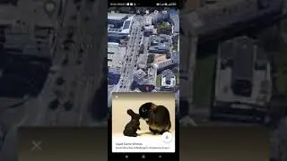 squid game  find in the Google Earth