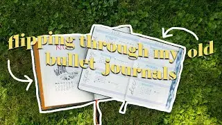 Flipping through my old Bullet Journals (from 2018 and 2019)!