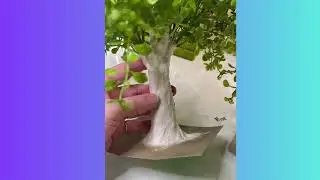 Making miniature 1:12 scale realistic looking trees for Calico Critters and Sylvanian Families.