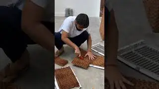 👆👆Don't Buy Honeycomb Pad !!👆👆